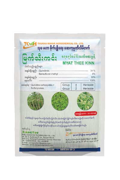 myat-thee-kinn