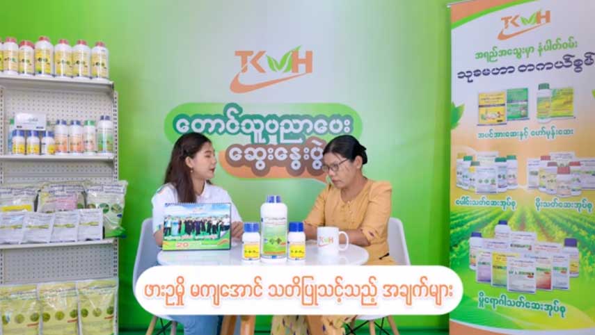 ဖားဥမှိုရောဂါမကျအောင် သတိပြုသင့်သည့် အချက်များ