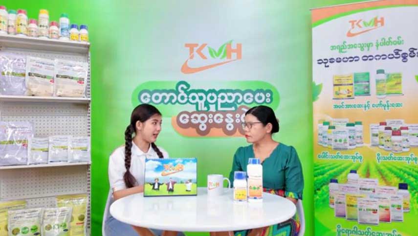 စပျစ်သီးနှံတွင် ကျရောက်တတ်သော ဘက်တီးရီးယားရွက်ခြောက်ရောဂါ မကျအောင် သတိပြုသင့်သည့် အချက်များ